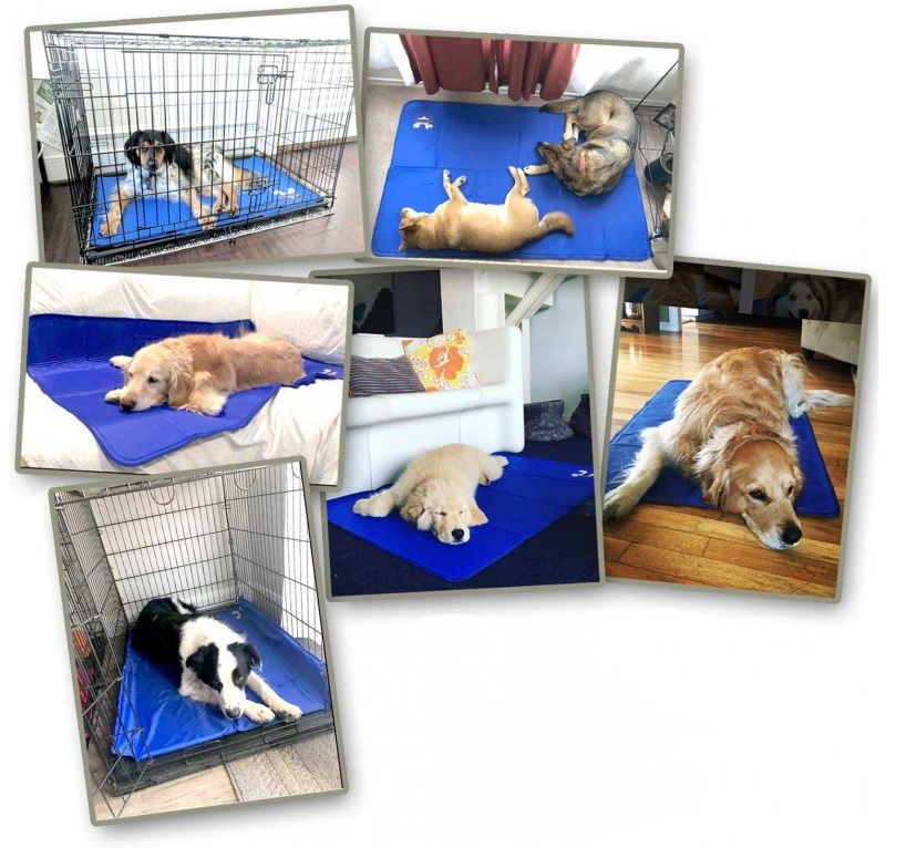 охлаждаща-подложка-за-кучета-уникална